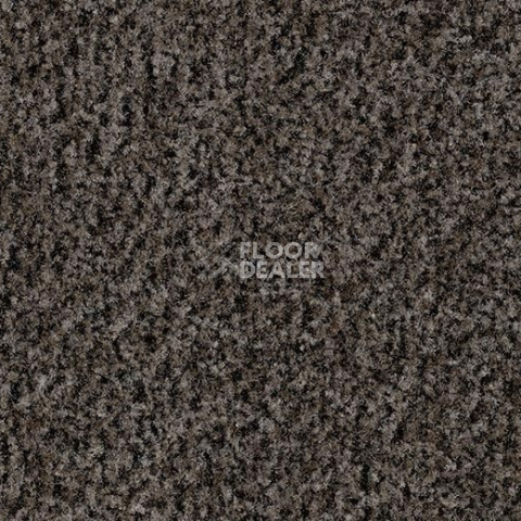 Forbo Coral Click 7824-7834-7874-7884 Shark Grey фото 2 | FLOORDEALER
